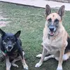Avasweatt123 - @terry.sweatt11 - TikTok