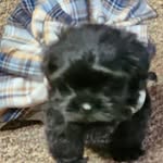 Diane Terry Sweatt - @dianeterrysweatt - Instagram