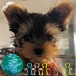 Terry Sweatt - @sweatt8312 - Instagram