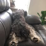 Terry Newberry Swenson - @poppynew.b - Instagram