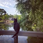 Terry Ohman Swenson - @terryohmanswenson - Instagram