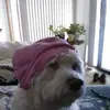 terryswenson8 - @terryswenson8 - TikTok