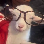 Terry Taft Harter - @49erterry - Instagram