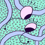 Terry Tapes - @terry_tapes - Instagram