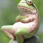 Terry Tarver - @lazygreenfrog - Instagram