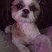 Terri Tatman - Facebook