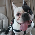 Terry Tatman - @tltpmt - Instagram