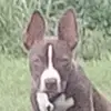 terry Taulbee - @terry.taulbee2 - TikTok