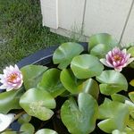 Terry Temple - @fuzzyfish53 - Instagram