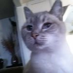 Terry Temple - @hottdoggin1 - Instagram