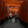ちぴお - @chipio46 - TikTok