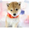 Terry.K - @terry3698 - TikTok