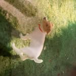 Terry Thacker - @terrythacker111 - Instagram