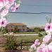 Terry Thao - Facebook