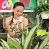 terry thao - @lethithuthao1982 - TikTok