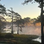 Terry Tharp - @terrytharp - Instagram