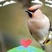 Terry Tharp - Facebook