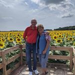 Donna Terry Thatcher - @donnaterrythatcher677 - Instagram