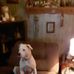 Terry Thaxton - Facebook