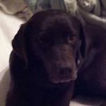 Terri Thayer - @tthayer54 - Instagram