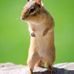 Terry Theis - Facebook