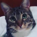 Grantaire Natashevna - @terrythenat - Instagram