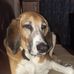 Terry Theobald - Facebook
