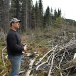 Terry Thibodeau - @terry.thibodeau.50 - Instagram