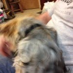 Terry Thibodeau Boulanger - @terryboulger64 - Instagram