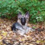 Terry Thiel Gummo Schroeder - @ladysheba58 - Instagram