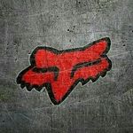 Terry Thiessen - @thiessenterry - Instagram