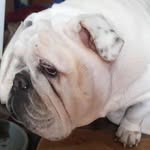 Terry Thorn - @terry.thorn.923 - Instagram