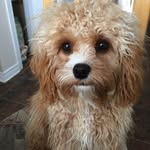 Terry Thornton - @terry.thornton.549 - Instagram