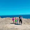 TheWildThornTerrys - @thewildthornterry - TikTok
