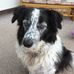 Terry Thorne - Facebook
