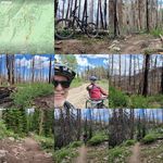 Terry Tidwell - @tidwell.terry - Instagram