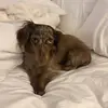 Tink - @tinkerbelleterry - TikTok