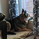 Terry Tompkins - @terrygtompkins - Instagram