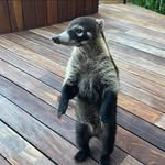 Terri Toohey - @grammymama - Instagram