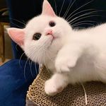 @terrytothet - Instagram
