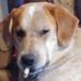 Terry Towner - Facebook