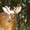 Terry Trentham - @terry.trentham - TikTok