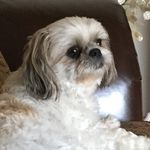 Terri Tremblay - @terri.tremblay - Instagram