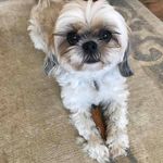 Terri Tremblay - @terri.tremblay.16 - Instagram