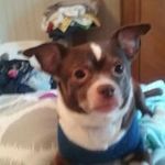 Terry Troup - @terrytroup - Instagram