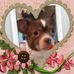 Terry Troup - Facebook