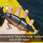 Terry the Trout - @terry_the_trout_official - Instagram