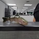 Terry Trout - @terry_trout - Instagram