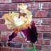 Terri Tunnell - Facebook