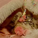 Terry Tuten - @tuten_terry - Instagram